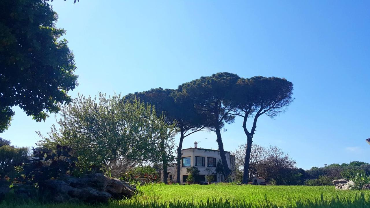 Tenuta Donnanna Agriturismo&Glamping Galatone Dış mekan fotoğraf